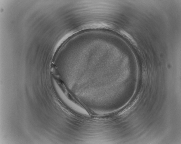 X0000066021226200603241527