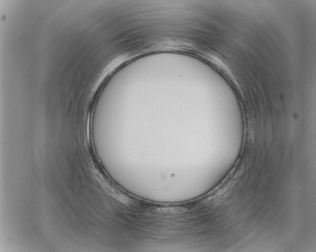 X0000066021227200603241527