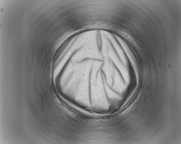 X0000066021228200603241527