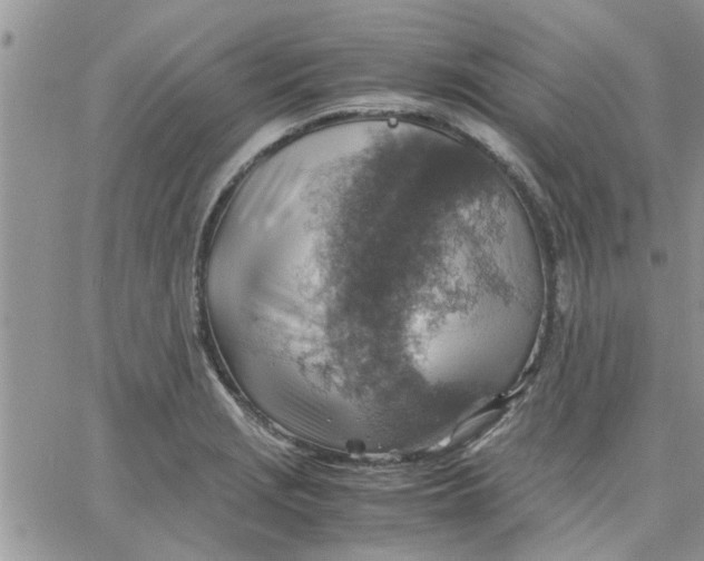 X0000066021229200603241527