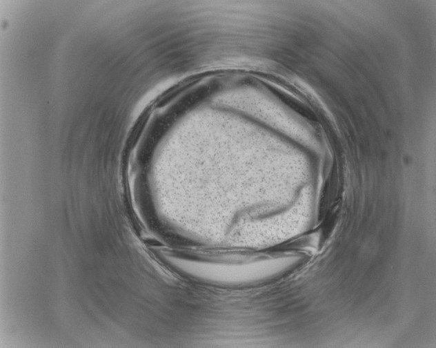 X0000066021230200603241527