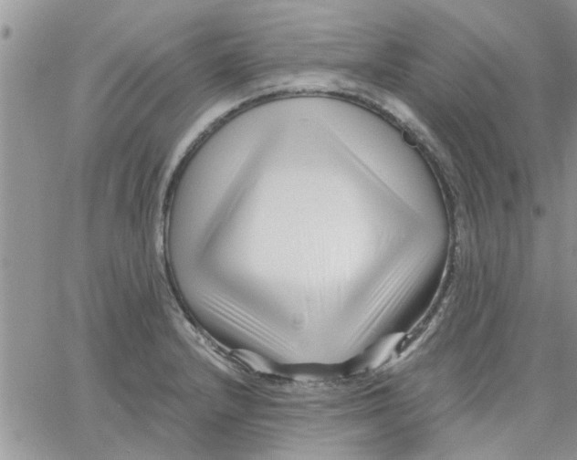 X0000066021232200603241527