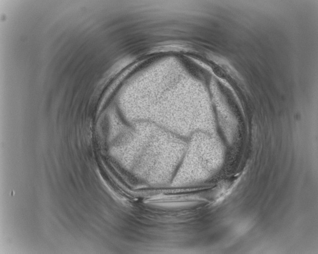 X0000066021233200603241527