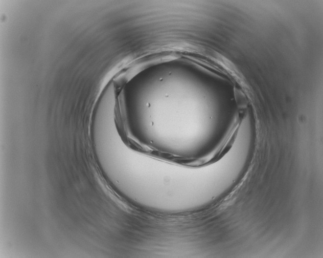 X0000066021234200603241527