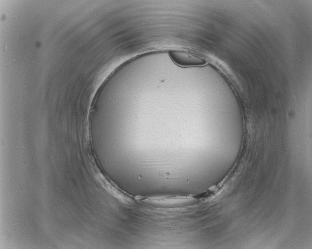 X0000066021236200603241527