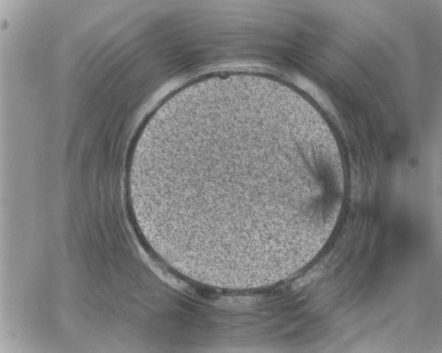 X0000066021237200603241527