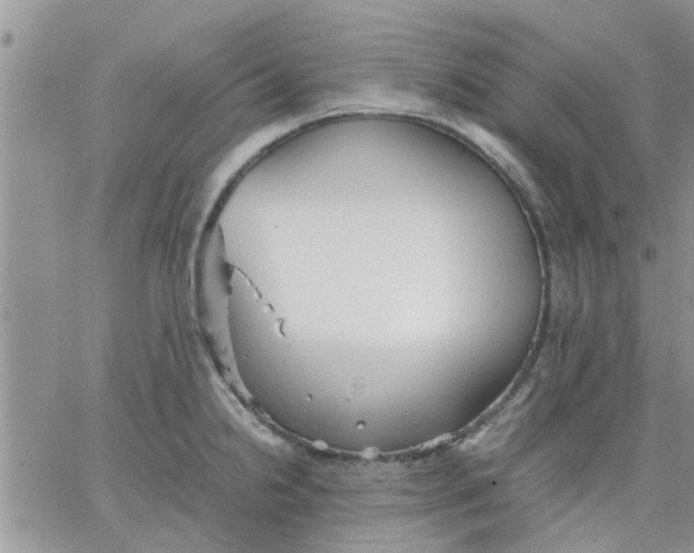 X0000066021238200603241527