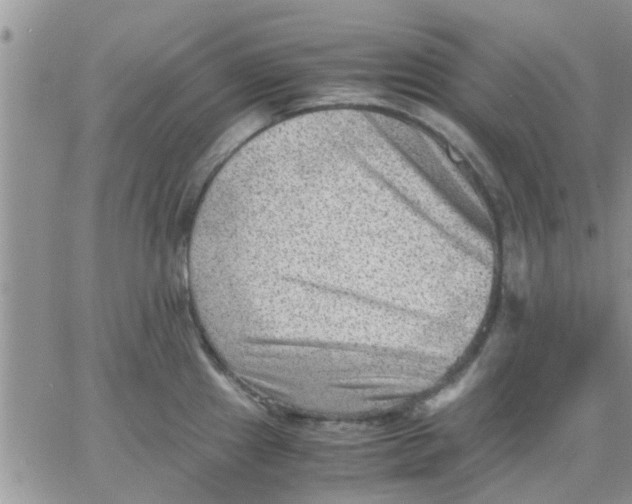 X0000066021241200603241527