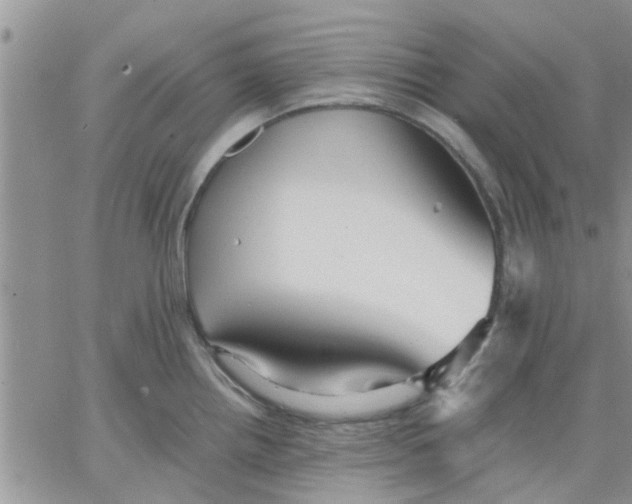 X0000066021242200603241527