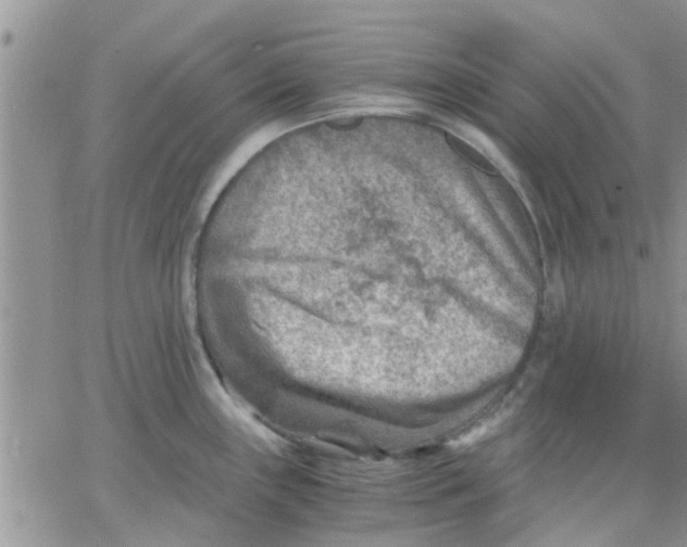 X0000066021243200603241527