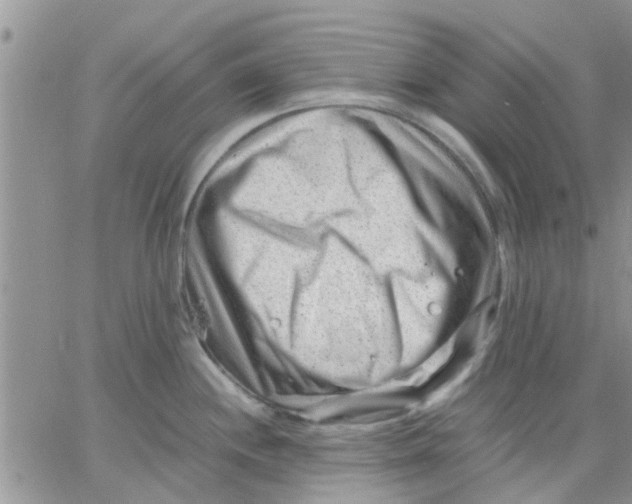 X0000066021244200603241527