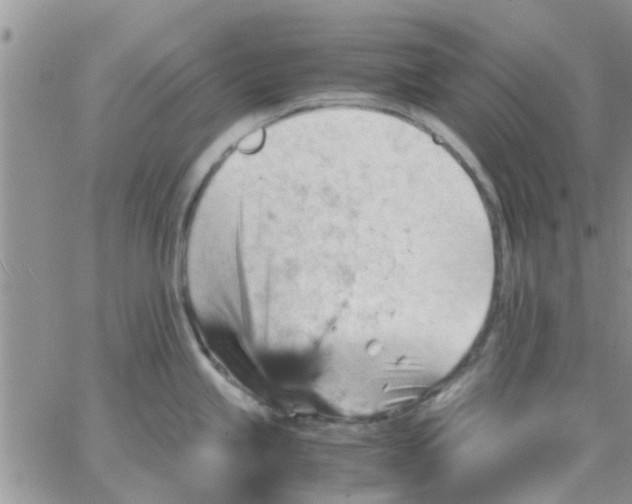 X0000066021245200603241527