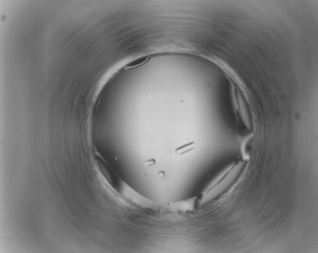 X0000066021246200603241527