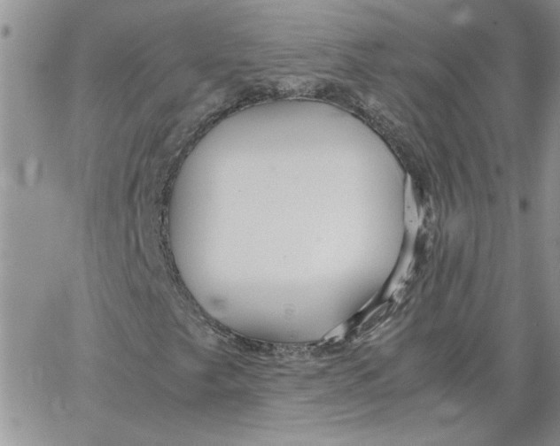 X0000066021249200603241526