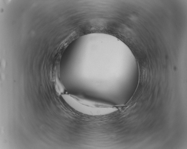 X0000066021250200603241526