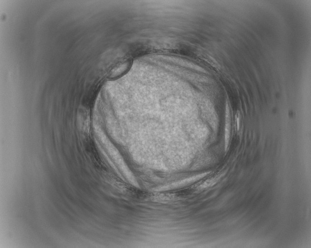 X0000066021251200603241526