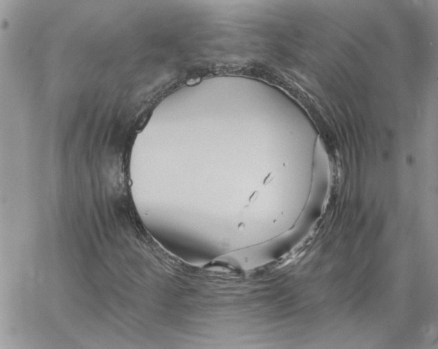 X0000066021252200603241526