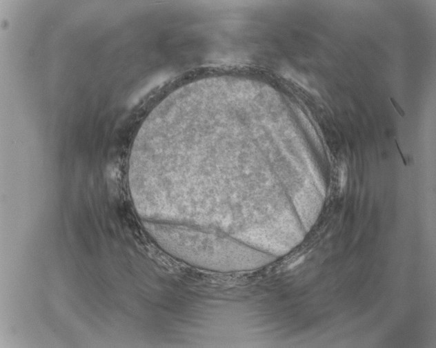 X0000066021254200603241526