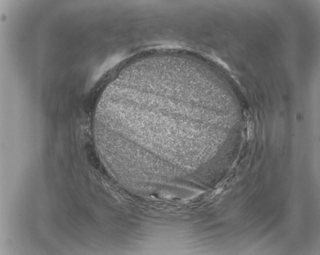 X0000066021255200603241526