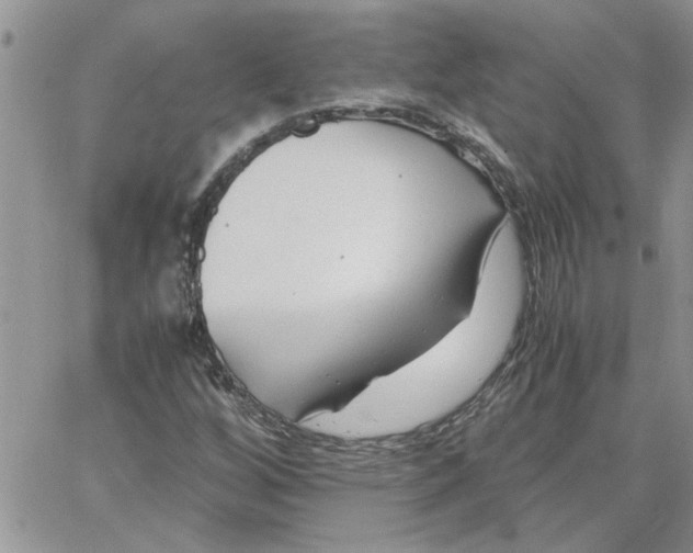 X0000066021256200603241526