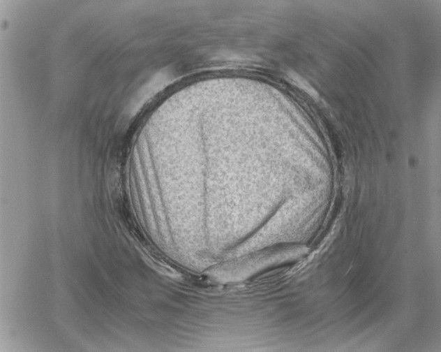 X0000066021259200603241526