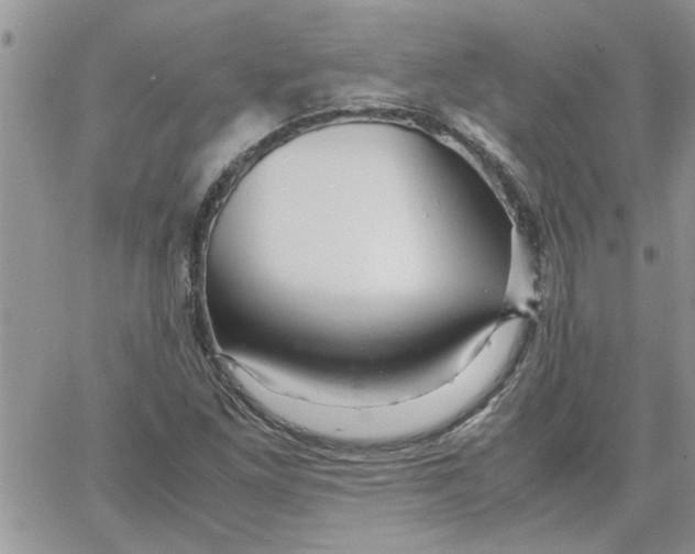 X0000066021261200603241526