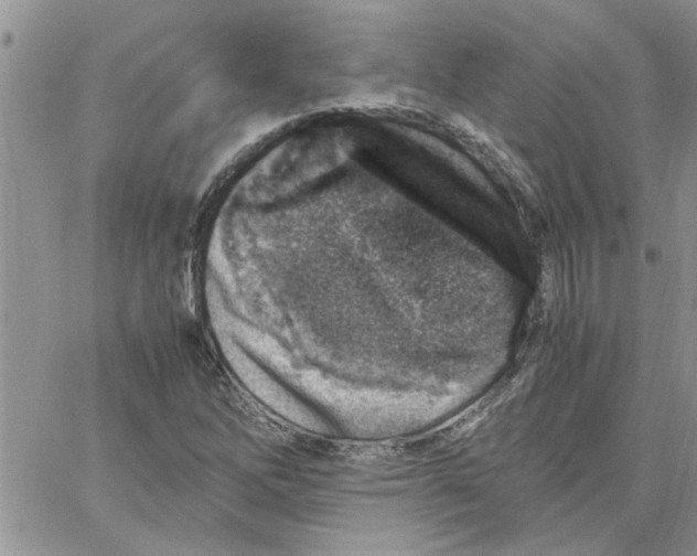 X0000066021262200603241526