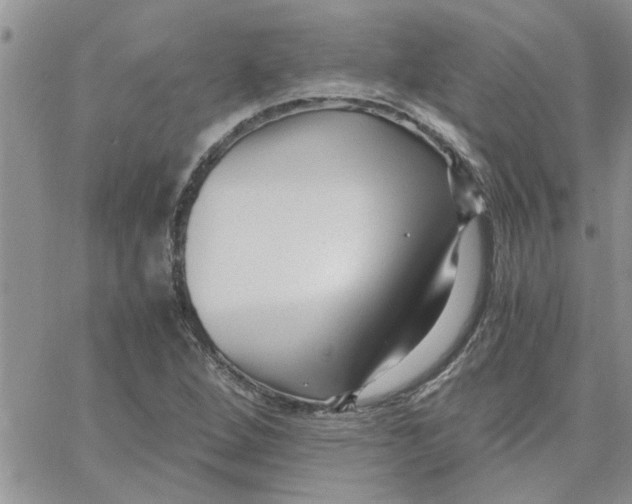 X0000066021264200603241526