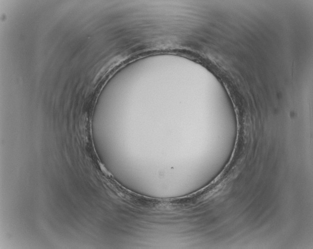 X0000066021265200603241526