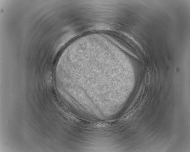 X0000066021266200603241526