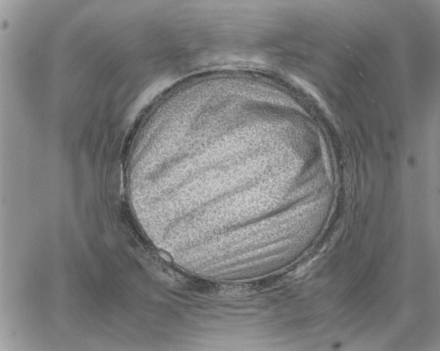 X0000066021267200603241526