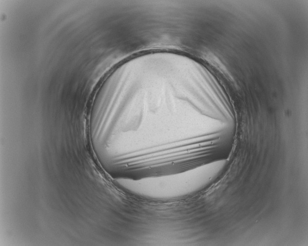 X0000066021268200603241526