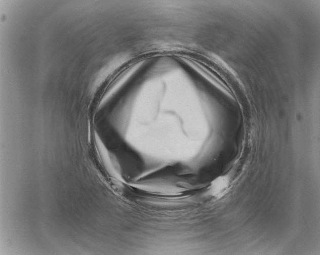 X0000066021269200603241526