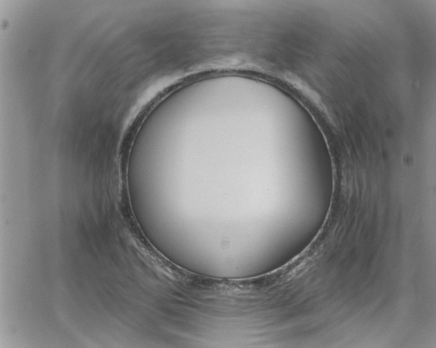 X0000066021270200603241526