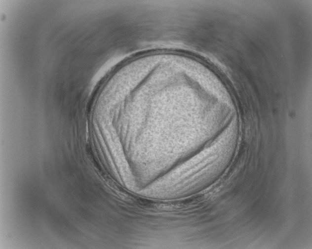 X0000066021271200603241526