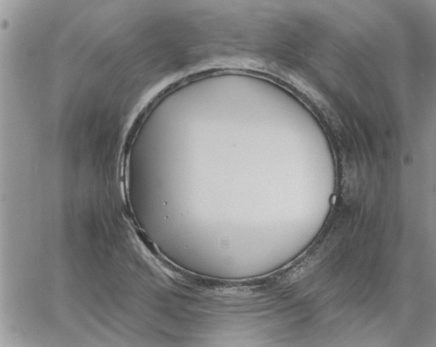 X0000066021272200603241526