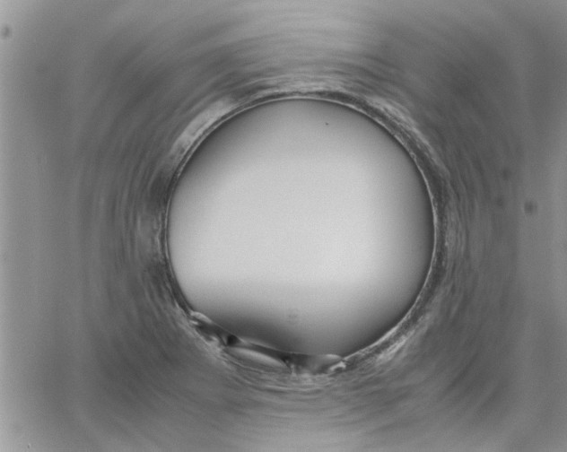 X0000066021273200603241526