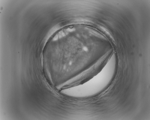 X0000066021275200603241526