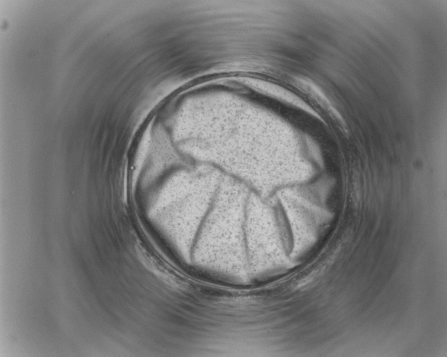 X0000066021276200603241526