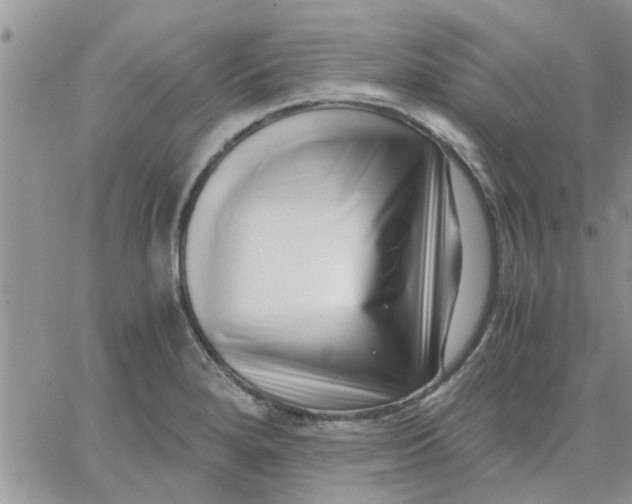 X0000066021280200603241526