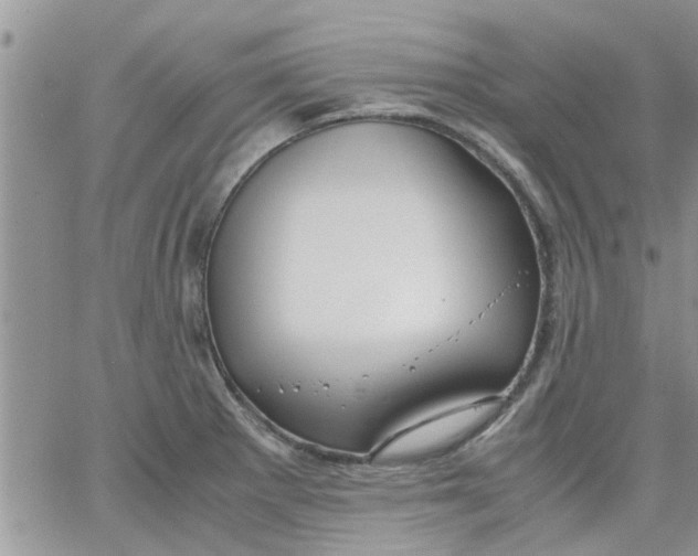 X0000066021281200603241526