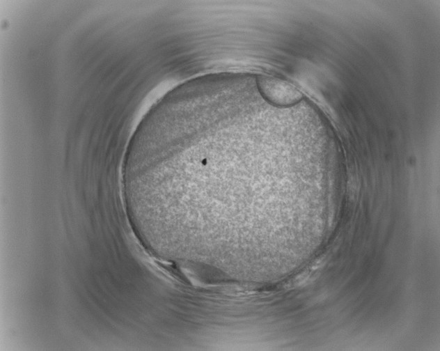 X0000066021283200603241526