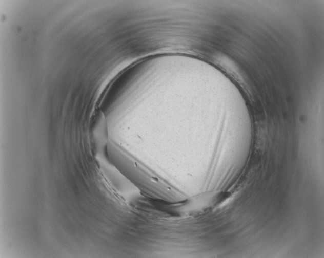 X0000066021284200603241526