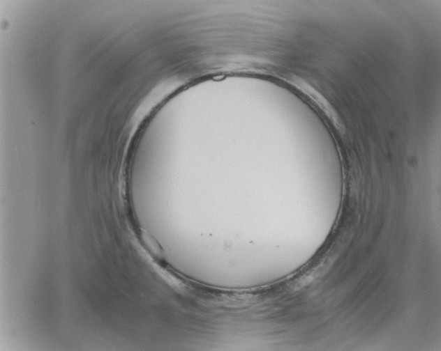 X0000066021285200603241526