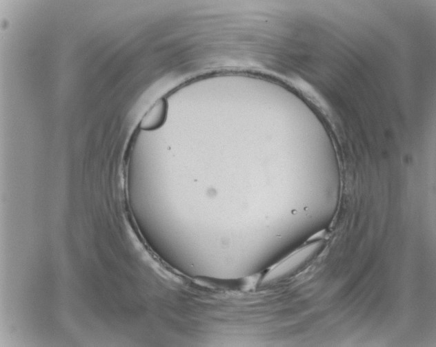 X0000066021287200603241526