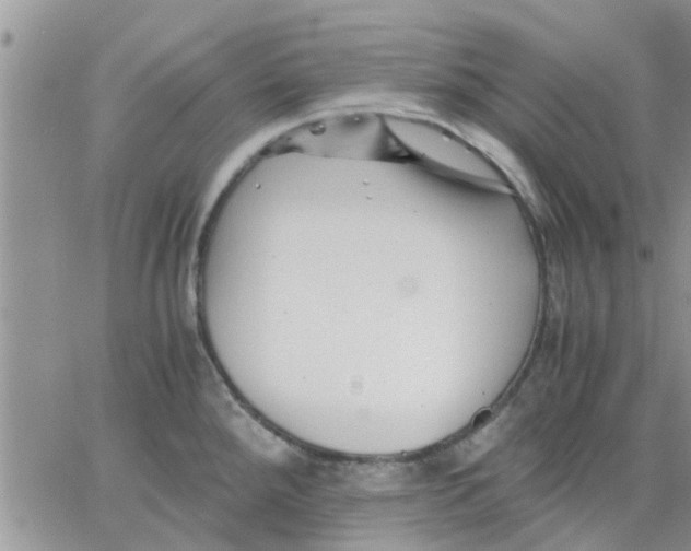 X0000066021288200603241526