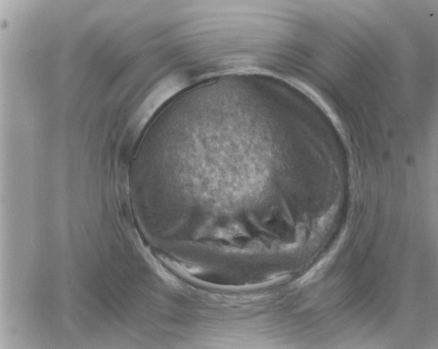 X0000066021289200603241526