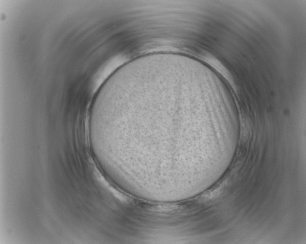 X0000066021290200603241526