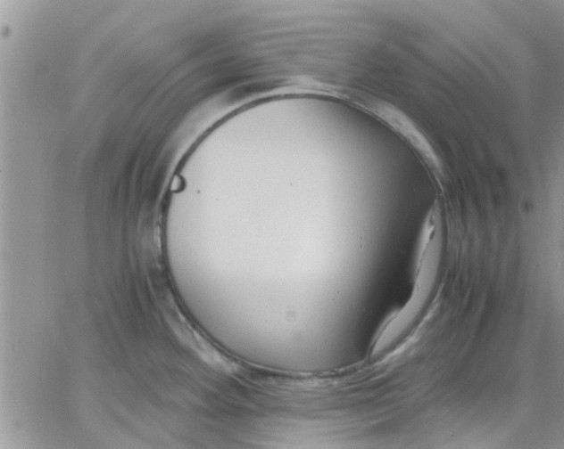 X0000066021292200603241526