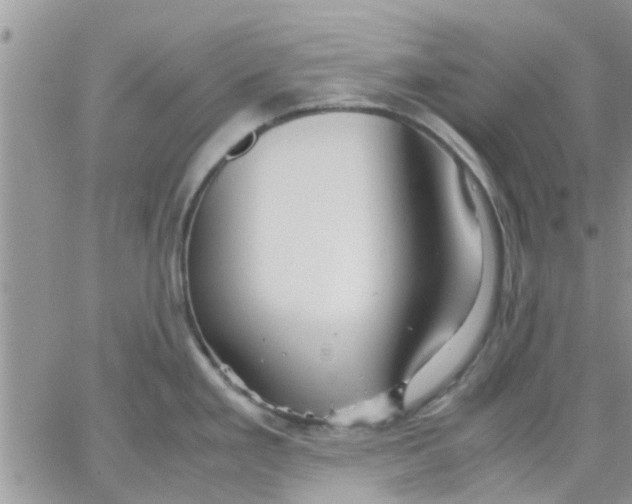 X0000066021293200603241526